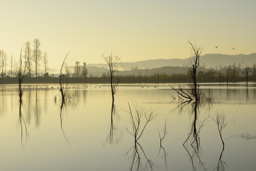 Similar image 11794851