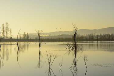 Similar image 11794897