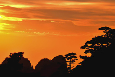 Similar image 11795360