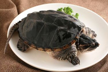 Similar image 11796141