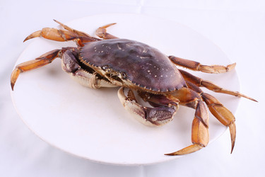 Similar image 11794563