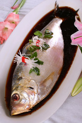 Similar image 11796209