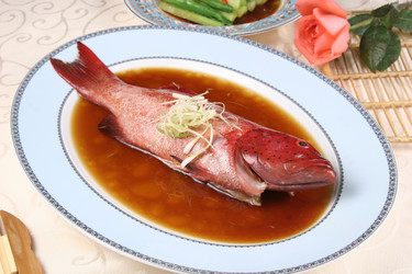 Similar image 11796271