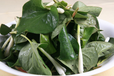 Similar image 11787733