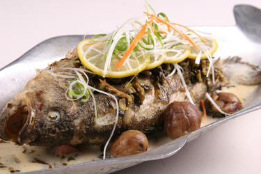 Similar image 11788528