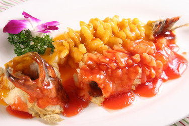 Similar image 11796402