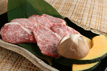 Similar image 11789975