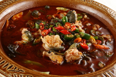 Similar image 11798978