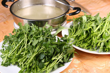 Similar image 11789485