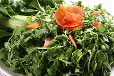 Similar image 11789976