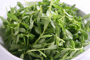 Similar image 11790011