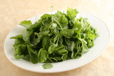 Similar image 11795047