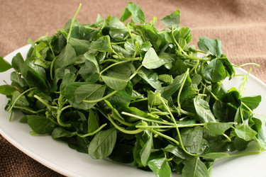 Similar image 11795111