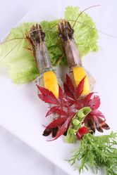 Similar image 11797520