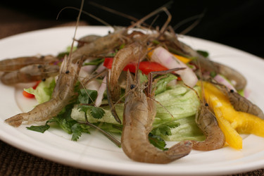 Similar image 11786066