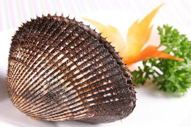 Similar image 11786162