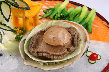 Similar image 11786313