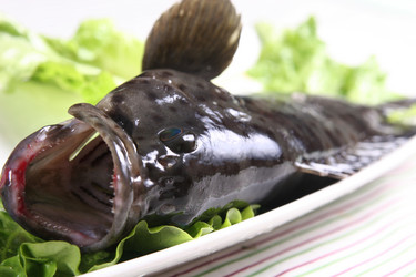 Similar image 11798169