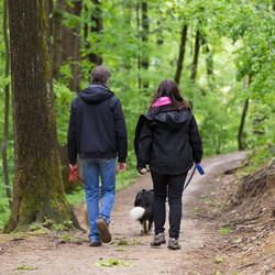 Similar image 11827784