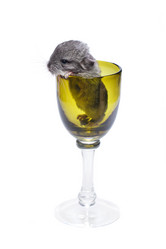 Similar image 11802662