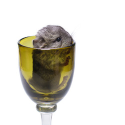 Similar image 11802663