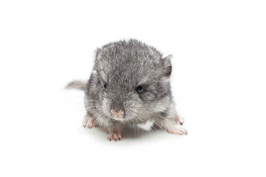 Similar image 11802465