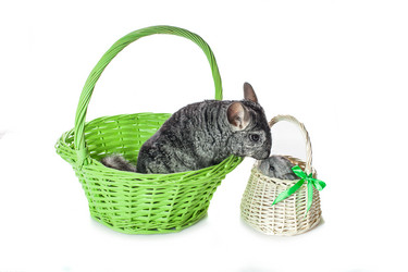 Similar image 11802583