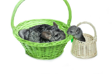 Similar image 11802627