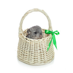 Similar image 11802703