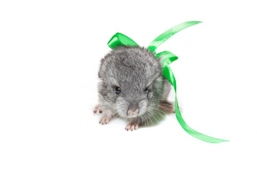 Similar image 11802704