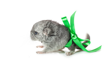 Similar image 11802742