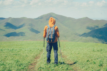 Similar image 11803493