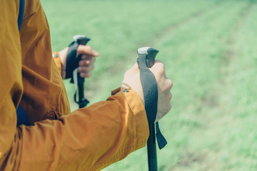 Similar image 11803495