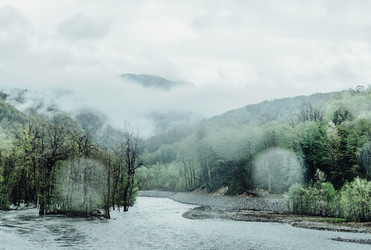 Similar image 11803795