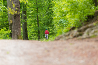 Similar image 11827982