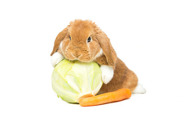 Similar image 11802447