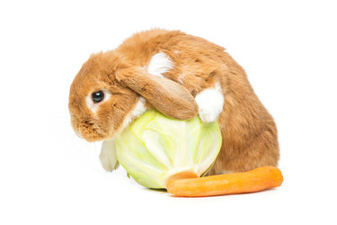 Similar image 11802466