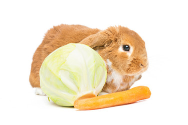 Similar image 11802467