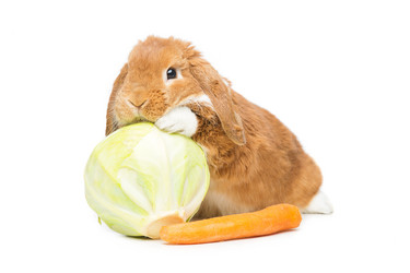 Similar image 11802468