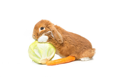 Similar image 11802469