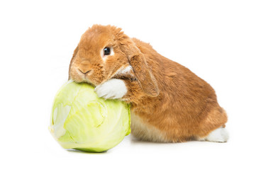 Similar image 11802470