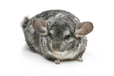 Similar image 11802474