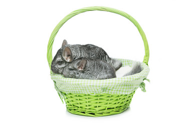 Similar image 11802485