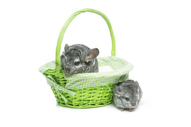 Similar image 11802486