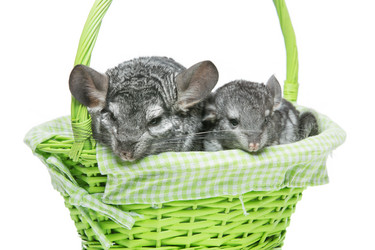 Similar image 11802487