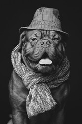 Similar image 11802475