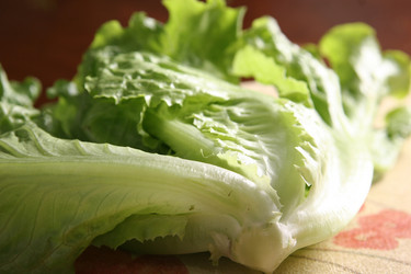 Similar image 11798446