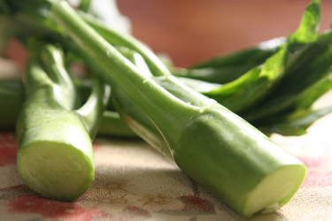 Similar image 11798578