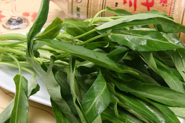 Similar image 11798690