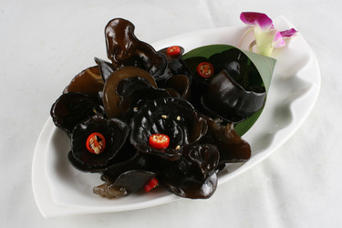 Similar image 11786773